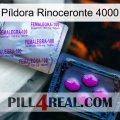 Píldora Rinoceronte 4000 37